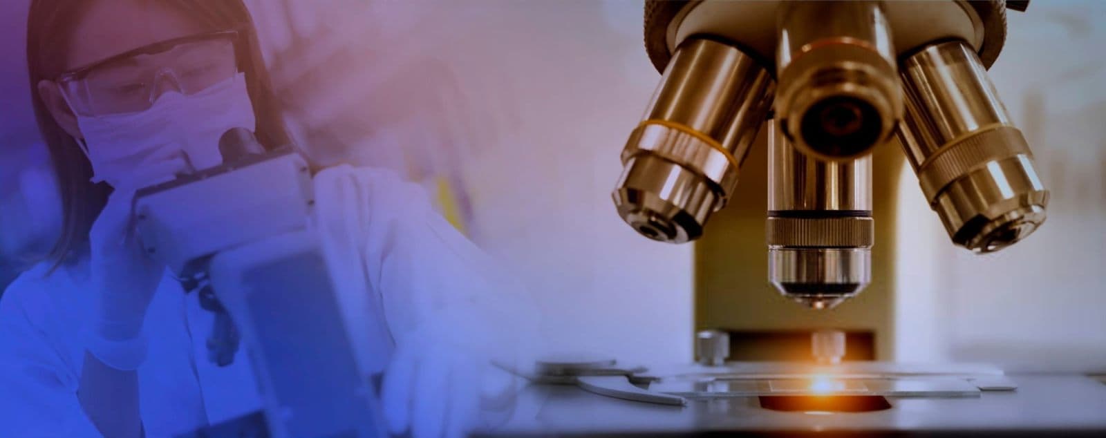 Gamma GT alto: conta l’andamento nel tempo